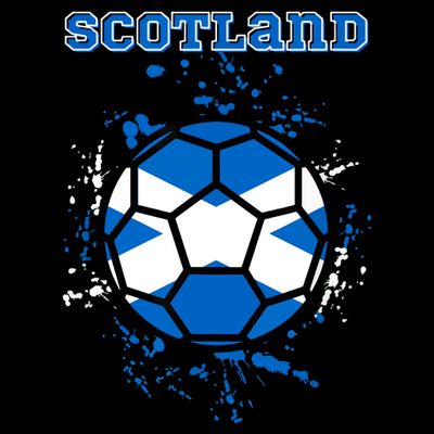 Scotland Funny T-Shirt