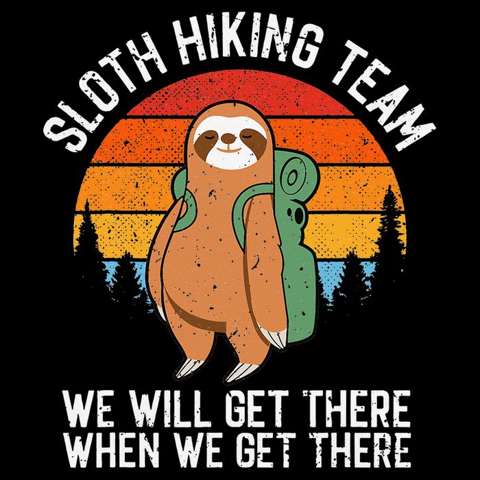 Sloth Funny Sloth Hiking Tee Sloth Lover Wool Snapback Cap