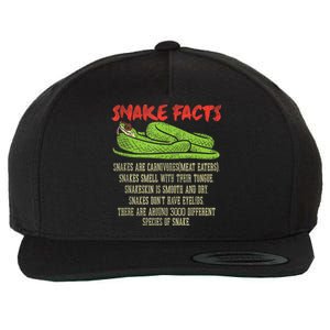 Snake Facts Snake Lover Reptile Lover Wool Snapback Cap