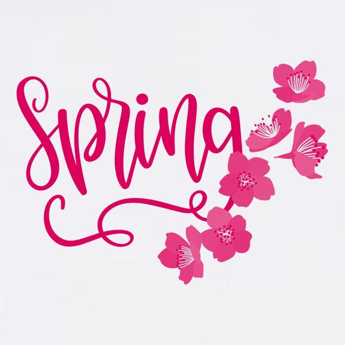 Spring Flower Garment-Dyed Sweatshirt