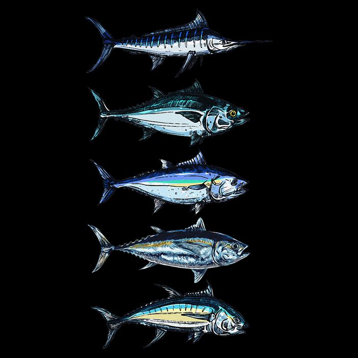 Saltwater Fish Species Swordfish Fishing Camping Hunting Sweatshirt