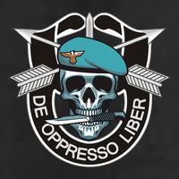 Special Forces Skull De Oppresso Liber 11oz C Handle Ceramic Mug