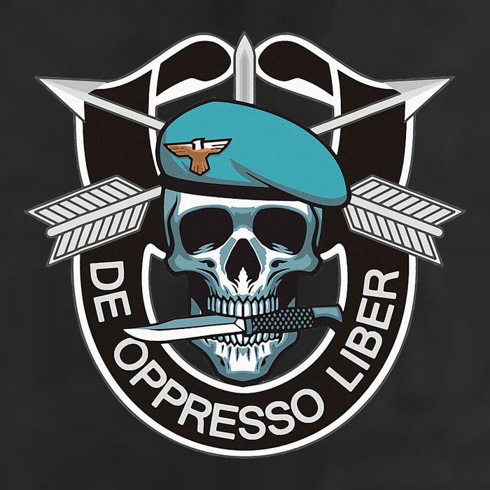 Special Forces Skull De Oppresso Liber 11oz C Handle Ceramic Mug