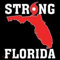 Strong Florida Support Wool Snapback Cap