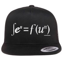 Sex = Fun Sex Equals Fun Flat Bill Trucker Hat