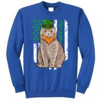 Scottish Fold St Patricks Day Irish American Flag Gift Sweatshirt