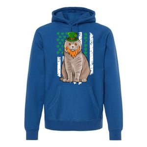 Scottish Fold St Patricks Day Irish American Flag Gift Premium Hoodie