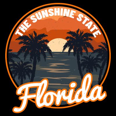 Surfing Florida Sunshine State Sunset Beach Gift T-Shirt