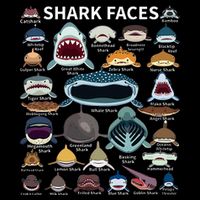 Shark Faces Type Of Shark Shark Faces Of All Kinds Flatbill Hat
