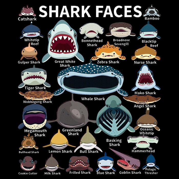 Shark Faces Type Of Shark Shark Faces Of All Kinds Flatbill Hat