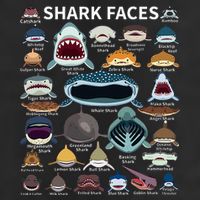 Shark Faces Type Of Shark Shark Faces Of All Kinds Golf Towel