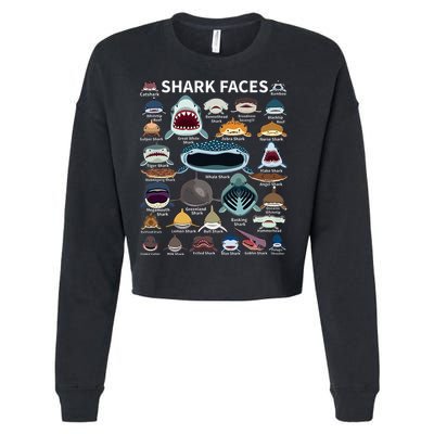 Shark Faces Type Of Shark Shark Faces Of All Kinds Cropped Pullover Crew