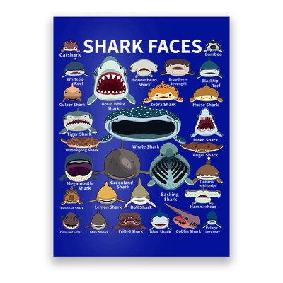 Shark Faces Type Of Shark Shark Faces Of All Kinds Poster
