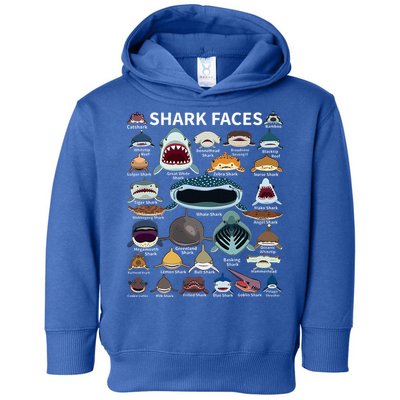 Shark Faces Type Of Shark Shark Faces Of All Kinds Toddler Hoodie