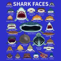 Shark Faces Type Of Shark Shark Faces Of All Kinds Tank Top
