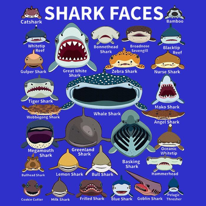 Shark Faces Type Of Shark Shark Faces Of All Kinds Tank Top