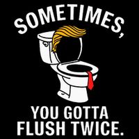 Sometimes For Trump Wool Snapback Cap