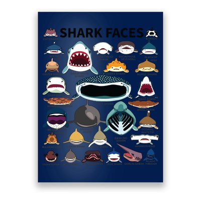 Shark Faces Type Of Shark Shark Faces Of All Kinds Poster