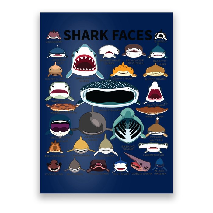 Shark Faces Type Of Shark Shark Faces Of All Kinds Poster