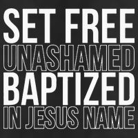 Set free unashamed baptized in Jesus name 7 Panel Mesh Trucker Snapback Hat