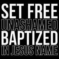 Set free unashamed baptized in Jesus name Performance Shirt