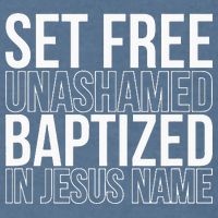Set free unashamed baptized in Jesus name Garment-Dyed Sweatshirt