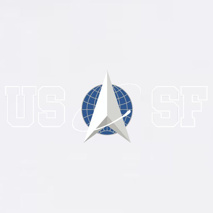Space Force USSP Garment-Dyed Sweatshirt