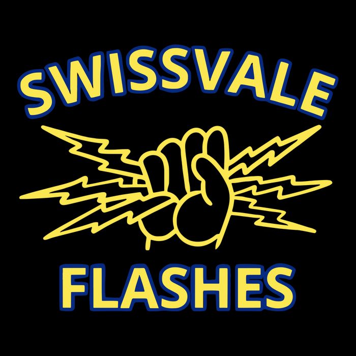 Swissvale Flashes Vintage Button