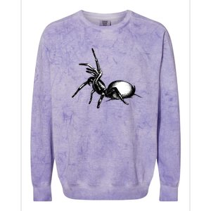 Sydney Funnel Web Spider Colorblast Crewneck Sweatshirt