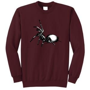 Sydney Funnel Web Spider Tall Sweatshirt