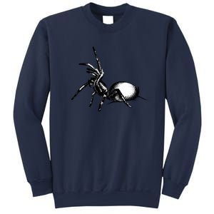 Sydney Funnel Web Spider Sweatshirt