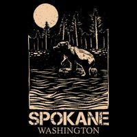 Spokane Falls Washington Waterfall River Womens T-Shirt