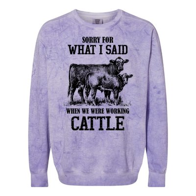 Sorry For What I Said When We Were Working Cattle Farmer Farm Cows Colorblast Crewneck Sweatshirt