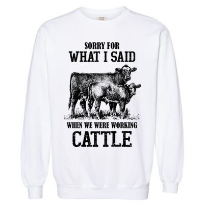 Sorry For What I Said When We Were Working Cattle Farmer Farm Cows Garment-Dyed Sweatshirt