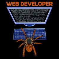 Spider Funny Web Software Developer Mug