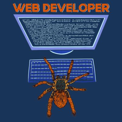 Spider Funny Web Software Developer T-Shirt