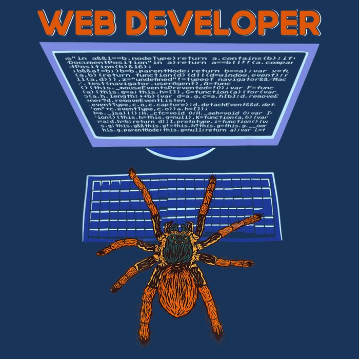Spider Funny Web Software Developer Tall Hoodie