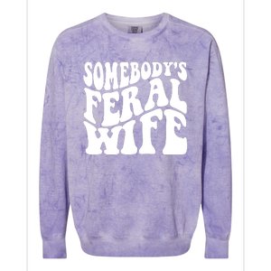 Somebodys Feral Wife Groovy Vibes Saying Hot Momma Colorblast Crewneck Sweatshirt