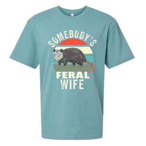 SomebodyS Feral Wife Funny Matching Family Retro Feral Cat Sueded Cloud Jersey T-Shirt