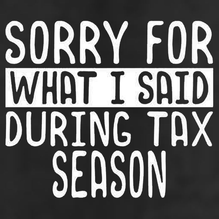 Sorry For What I Said During Tax Season Hat