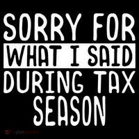 Sorry For What I Said During Tax Season Womens T-Shirt