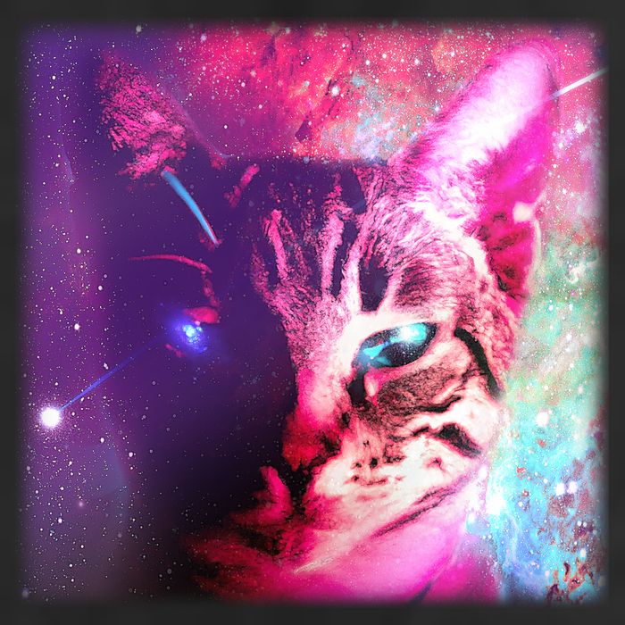 Spacy Galaxy Alien Cat Beanie
