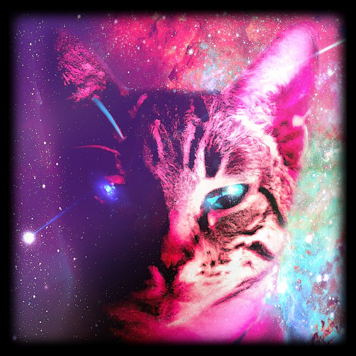 Spacy Galaxy Alien Cat Women's V-Neck T-Shirt