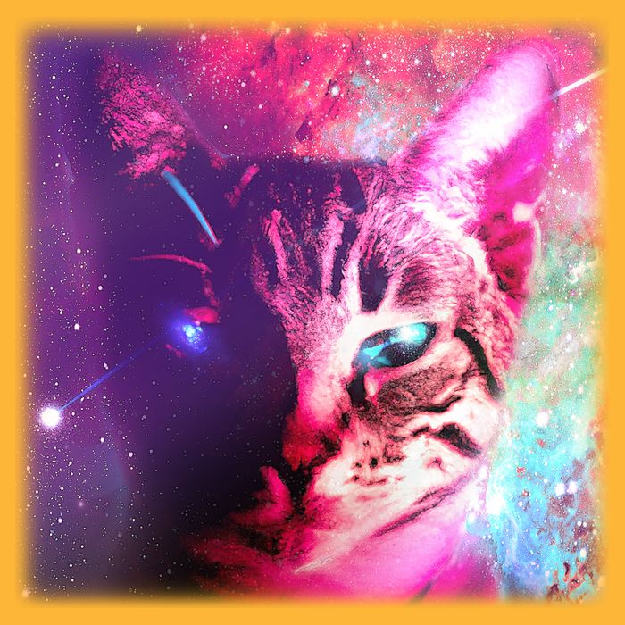 Spacy Galaxy Alien Cat Premium T-Shirt