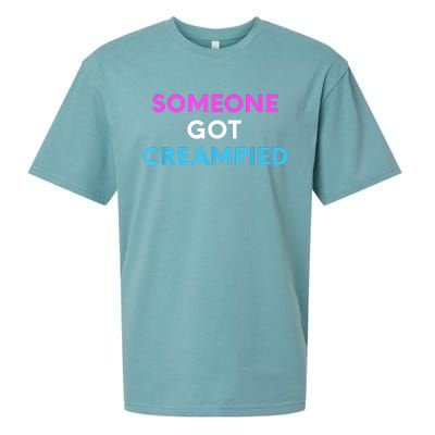 Someone Got Creampied Funny Gender Reveal Party Sueded Cloud Jersey T-Shirt