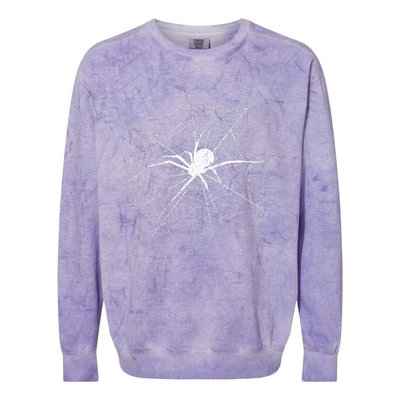 Spider Gift Costume Bird Spider Terrarium Spider Web Creepy Crawly Halloween Decor Colorblast Crewneck Sweatshirt