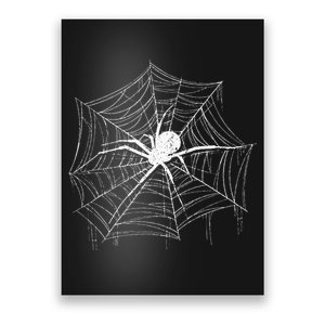 Spider Gift Costume Bird Spider Terrarium Spider Web Creepy Crawly Halloween Decor Poster