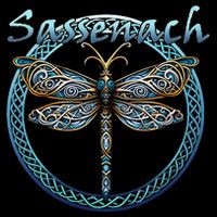 Sassenach Gaelic Dragonfly Scottish Outlander Drawstring Bag