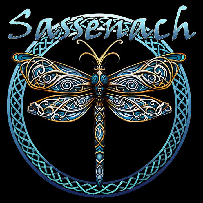 Sassenach Gaelic Dragonfly Scottish Outlander Drawstring Bag