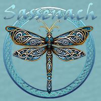 Sassenach Gaelic Dragonfly Scottish Outlander Sueded Cloud Jersey T-Shirt